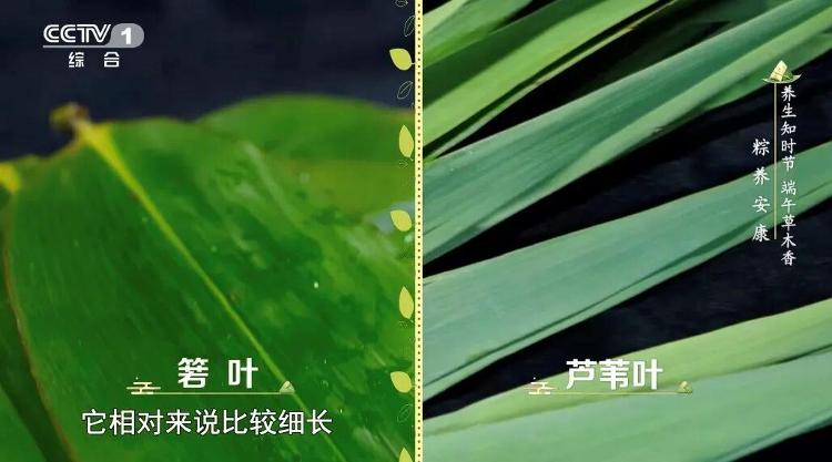 极氪9X车主礼貌加塞后用拖车钩致谢:获数十万点赞 官方回应